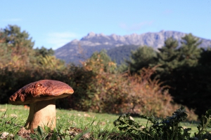 el-guardian-de-7-picos-300x200